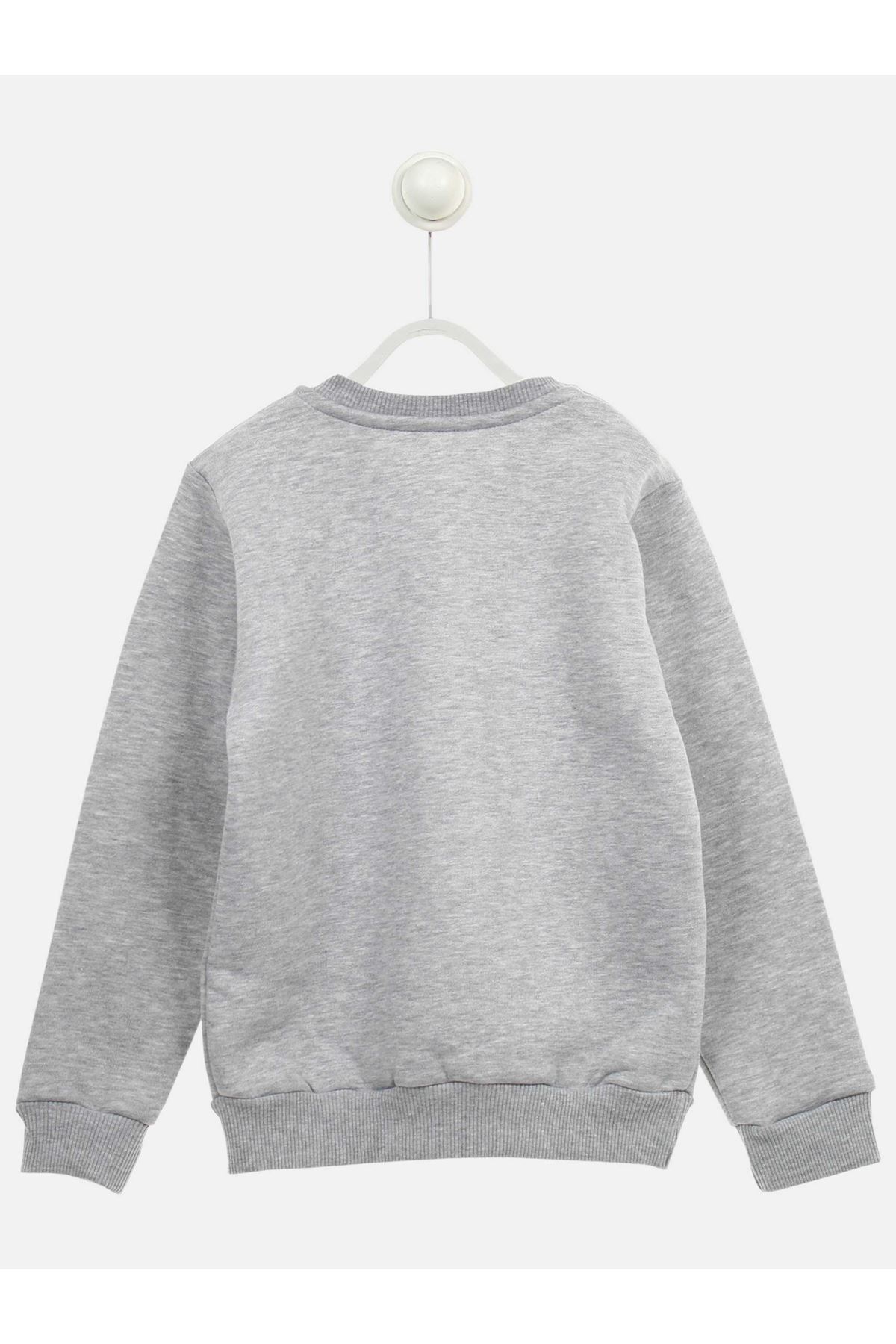 Gray Winter Male Child Sweatshirt