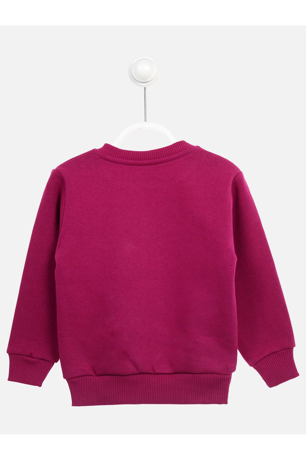 Purple Winter Girl Sweatshirt