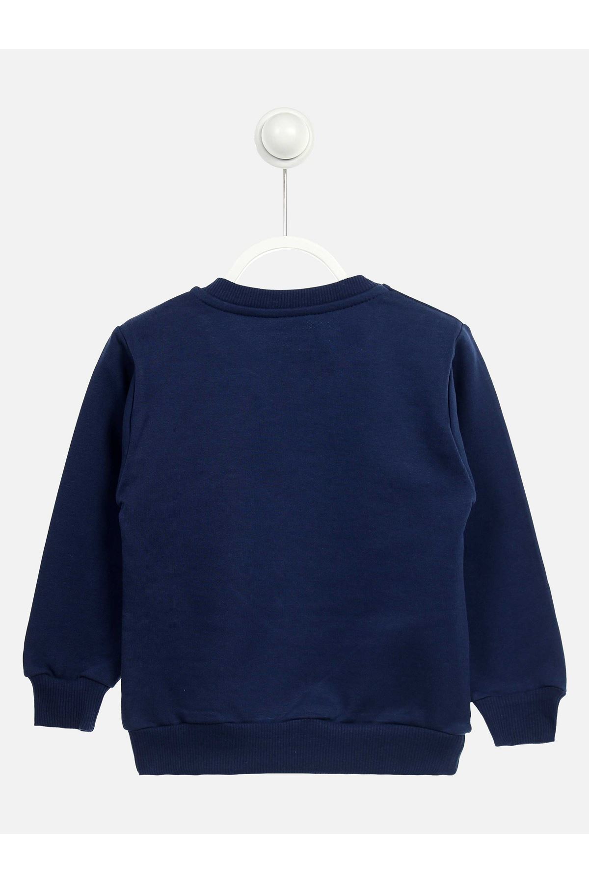 Indigo Seasonal Male Child Sweatshirt