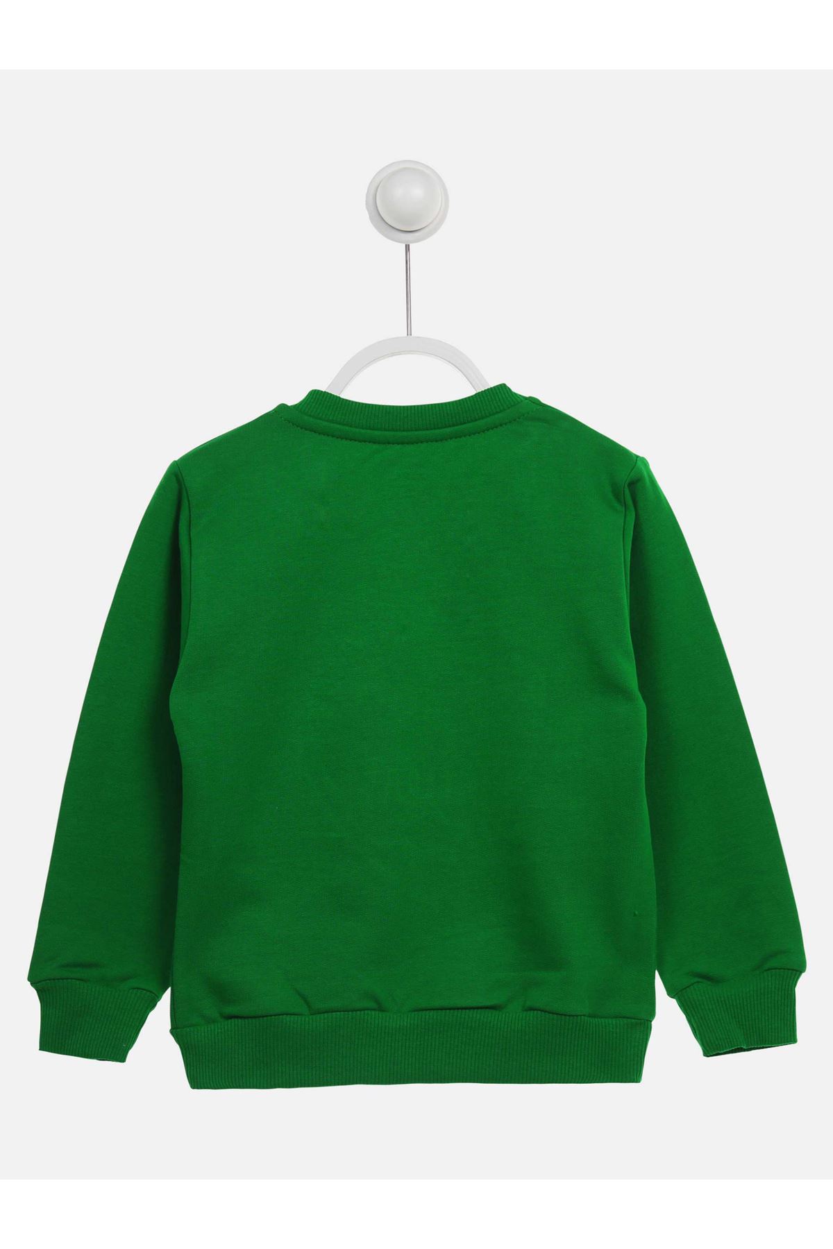 Green Seasonal Male Child Sweatshirt