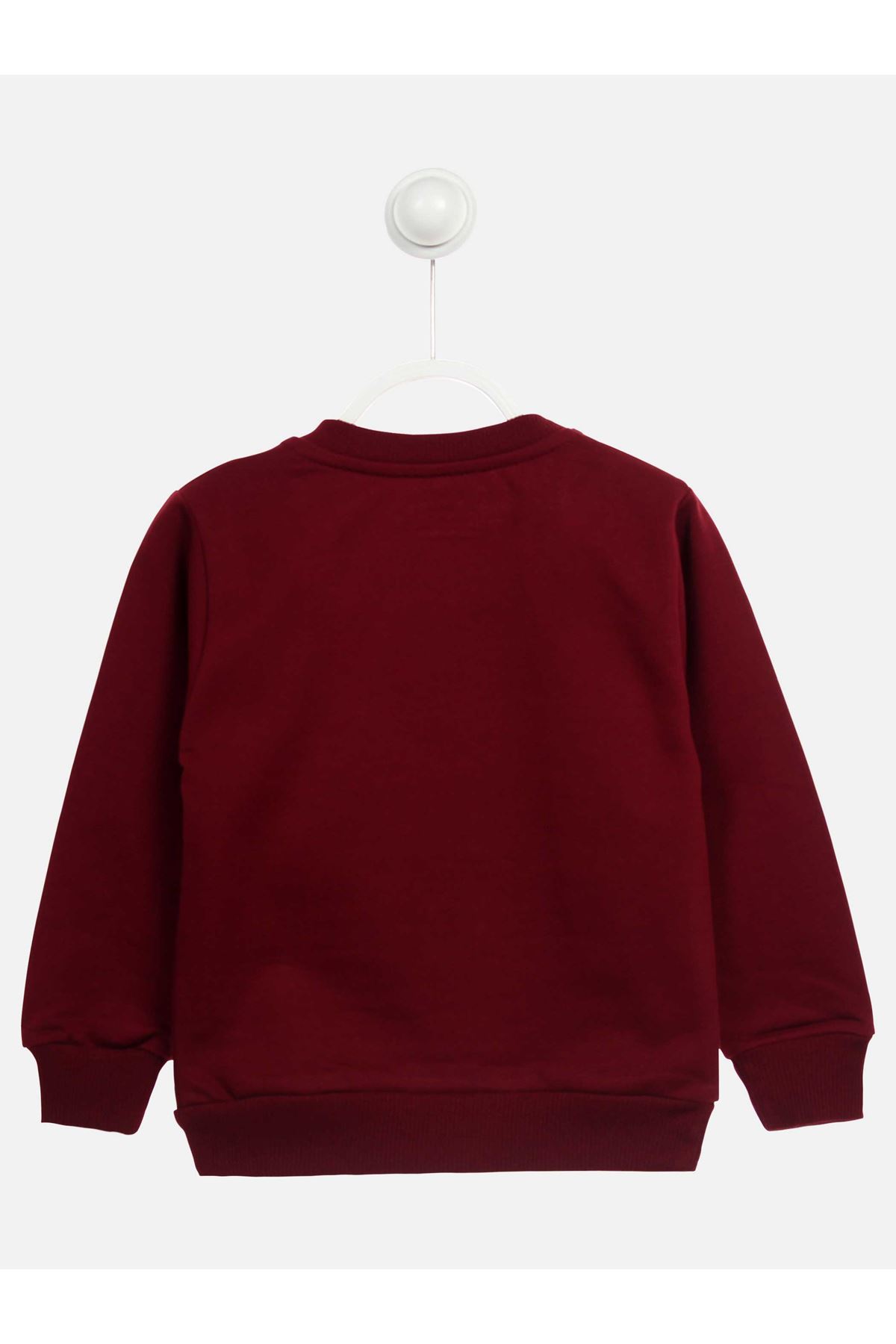 Maroon Seasonal Boy Sweatshirt