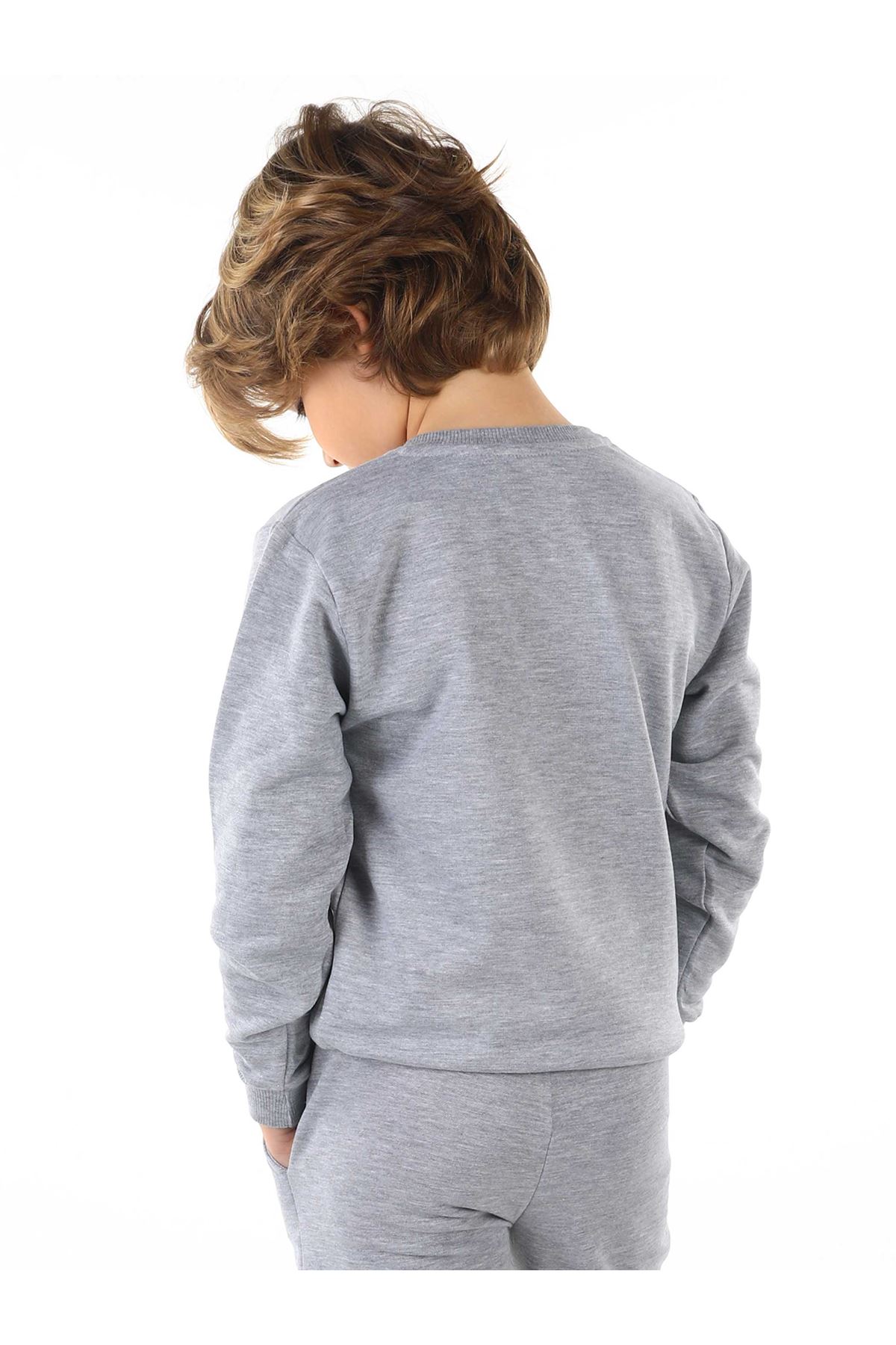 Gray Seasonal Male Child Sweatshirt