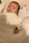 Krem Sevimli Çocuk Bebek Battaniyesi Ördek Kışlık Peluş Welsoft Kaz Battaniye