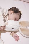 Sevimli Tavşancık Bebek Çocuk Battaniyesi Kışlık Peluş Welsoft Tavşan Battaniye